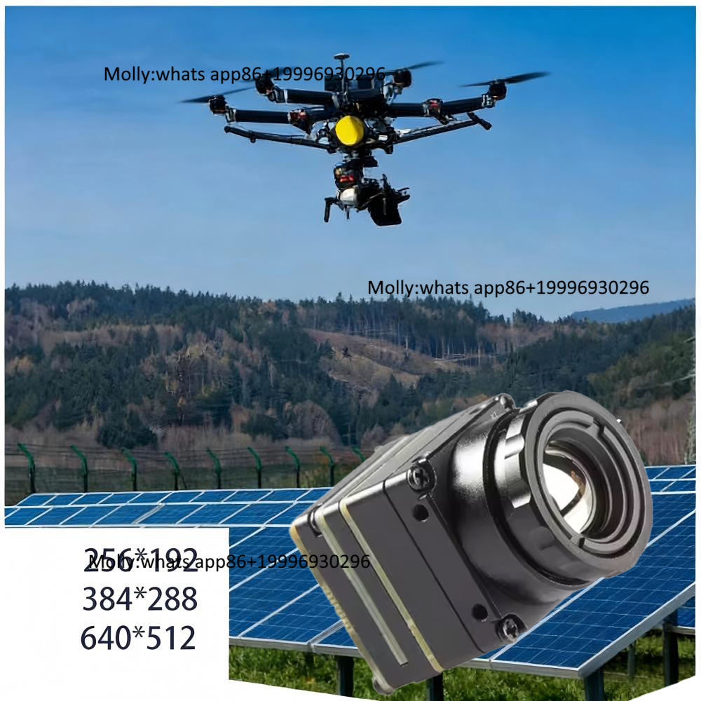 โมดูลกล้องถ่ายภาพความร้อนขนาดเ - Thermal Camera Type C 384X288 บทวิจารณ์และราคา